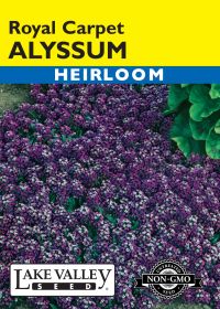 Alyssum Royal Carpet - Item #7