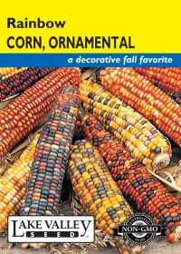 Corn Ornamental Rainbow - Item #105