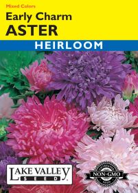 Aster Early Charm Mixed Colors - Item #12