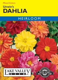 Dahlia Unwin's Mixed Colors - Item #123