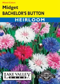Bachelor's Button Midget Mixed Colors - Item #1244
