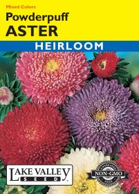 Aster Powderpuff Mixed Colors - Item #13