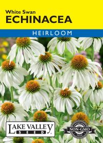 Echinacea White Swan - Item #136