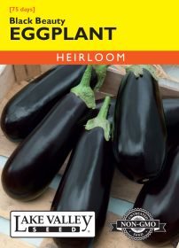 Eggplant Black Beauty - Item #137
