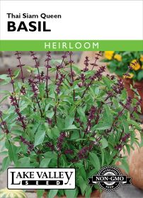 Basil Thai Siam Queen - Item #1443