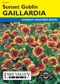 Gaillardia Sunset Goblin - Item #151