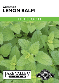 Lemon Balm - Item #16