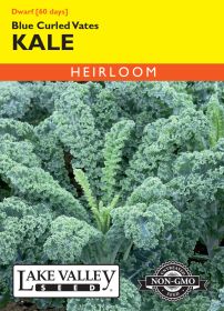 Kale Dwarf Blue Curled Vates - Item #162