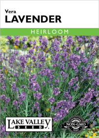 Lavender Vera - Item #167