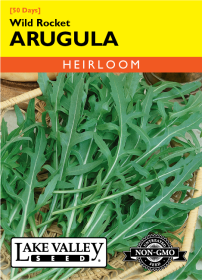 Arugula Wild Rocket - Item #1685