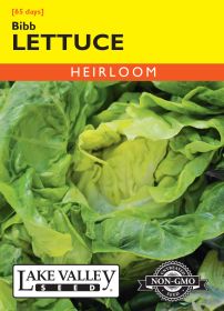 Lettuce Bibb - Item #170