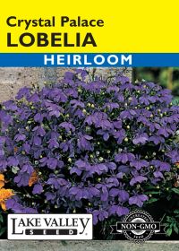 Lobelia Crystal Palace - Item #177