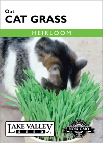 Cat Grass Oat - Item #1854