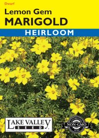 Marigold Lemon Gem - Item #186