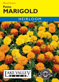 Marigold Petite Mixed Colors - Item #187