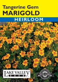 Marigold Tangerine Gem - Item #188