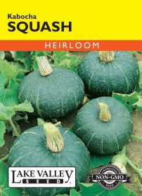 Squash (Winter) Kabocha - Item #1913