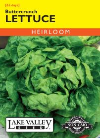 Lettuce Buttercrunch - Item #1933