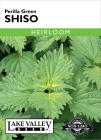 Shiso Perilla Green - Item #1936
