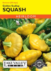 Squash (Summer) Golden Scallop Yellow - Item #1939