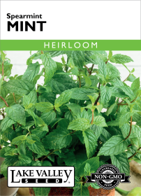 Mint Spearmint - Item #194