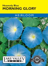 Morning Glory Heavenly Blue - Item #197