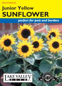 Sunflower Junior Yellow Hybrid (Pollenless) - Item #1980