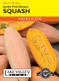 Squash (Winter) Jumbo Pink Banana - Item #1987
