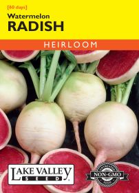 Radish Watermelon - Item #1999