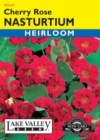 Nasturtium Cherry Rose - Item #204