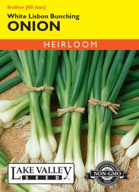Onion White Lisbon Bunching - Item #209