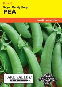 Pea Sugar Daddy Snap (Bush) - Item #226