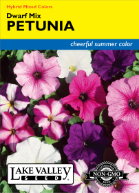 Petunia Hybrid Choice Mixed Colors - Item #240