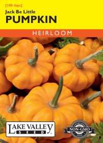Pumpkin Jack Be Little (Miniature) - Item #252