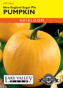 Pumpkin New England Sugar Pie - Item #254