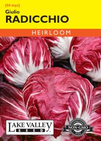 Radicchio Giulio - Item #255