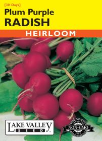 Radish Plum Purple - Item #259