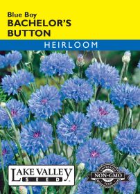 Bachelor's Button Blue Boy - Item #26