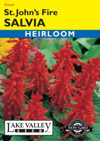 Salvia St. John's Fire - Item #269