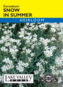 Snow In Summer (Cerastium) - Item #275