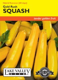 Squash (Summer) Gold Rush Hybrid - Item #283
