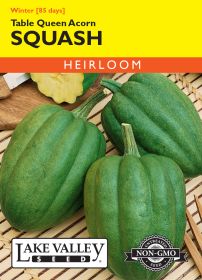 Squash (Winter) Table Queen Acorn - Item #286