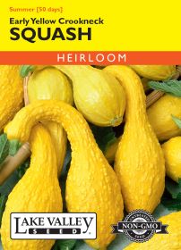 Squash (Summer) Early Yellow Crookneck - Item #287