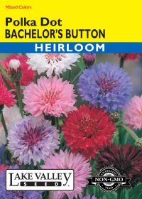 Bachelor's Button Polka Dot Mixed Colors - Item #28
