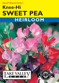 Sweet Pea Knee-High Dwarf Mixed Colors - Item #292