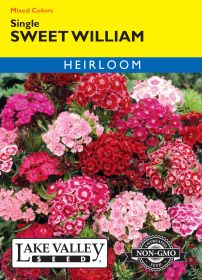 Sweet William Single Mixed Colors - Item #294