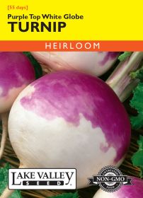 Turnip Purple Top White Globe - Item #311