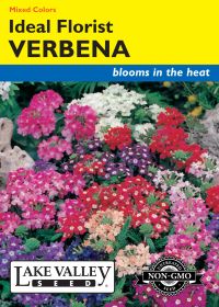 Verbena Ideal Florist Mixed Colors - Item #314