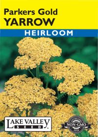 Yarrow Parkers Gold - Item #324