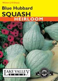 Squash (Winter) Blue Hubbard - Item #3382
